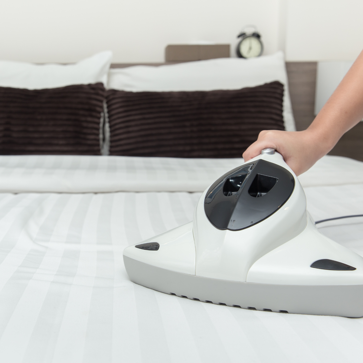 dusting the bed