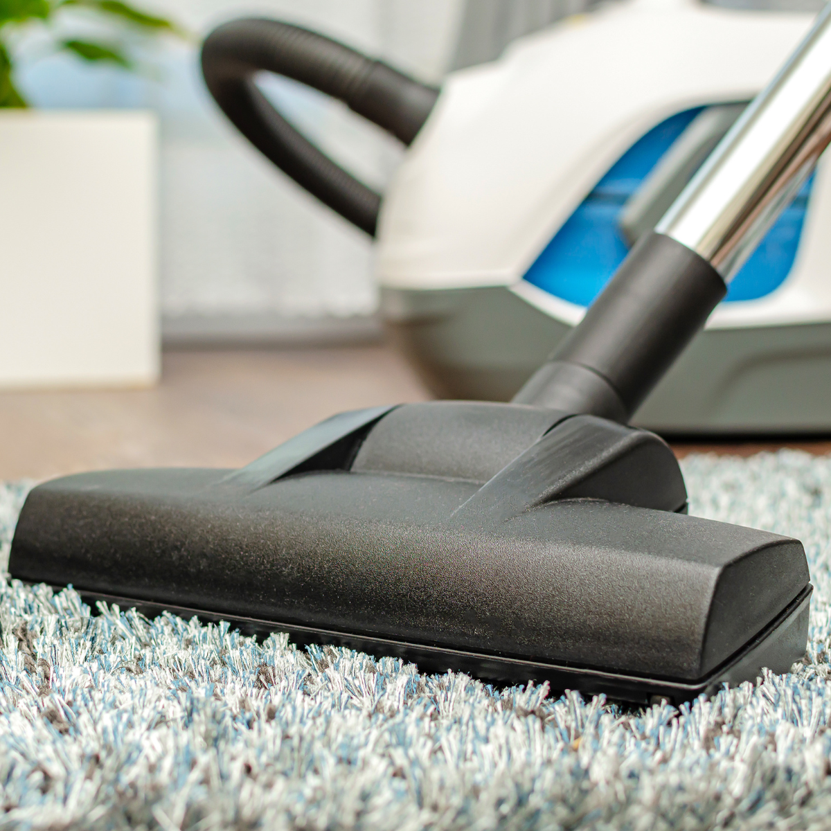 vacuuming carpets