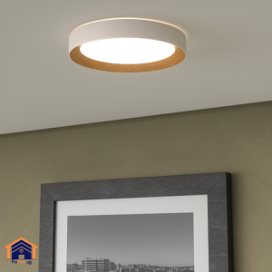 Read more about the article How To Change a Flush Mount Ceiling Light
