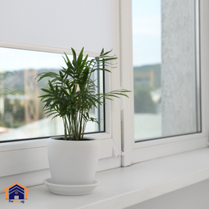 Read more about the article Window Shades and Blinds in Singapore Homes: A Comprehensive Guide