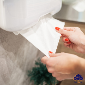 Read more about the article The Complete Guide to Wall Mounted Paper Towel Holders in Singapore: Installation, Types, and Buying Tips