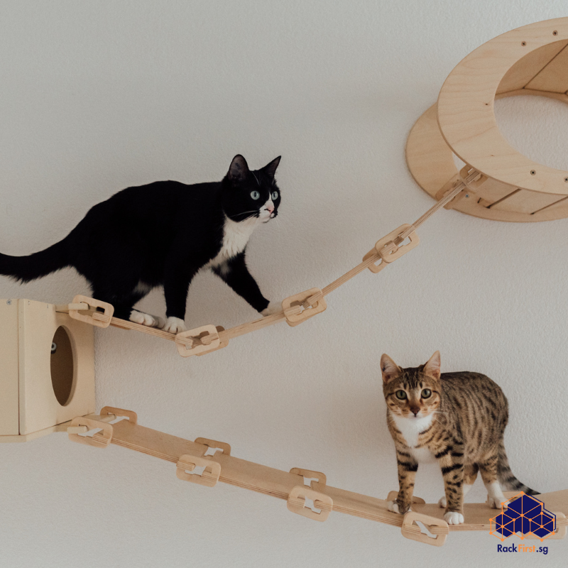 Read more about the article Wall-Mounted Cat Beds and Cat Furniture in Singapore Homes: The Ultimate Installation and Buying Guide