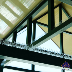 Bird Spike Installation