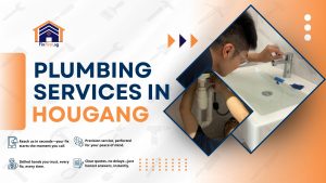 Read more about the article Plumbing Services in Hougang