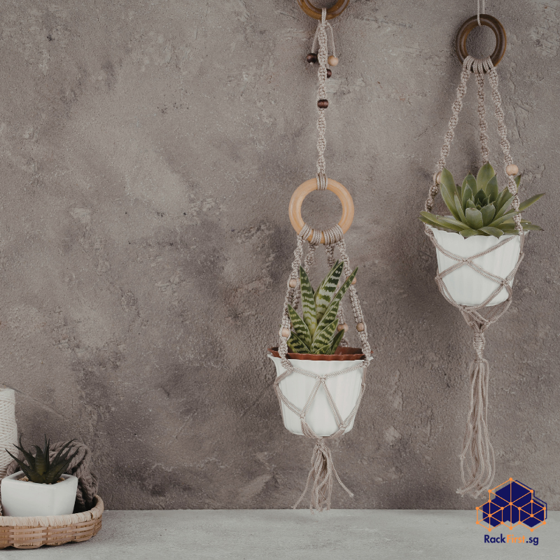 Read more about the article Wall Mount Plant Hanger: Installation and Best Practices for Singapore HDBs